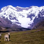 andes du pérou