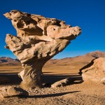Arbre de pierre, Sud Lipez, voyage Bolivie