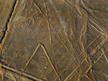 Lignes de Nazca - Figure de l'araignée