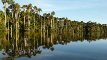 Lac Sandoval, Puerto Maldonado - Amazonie