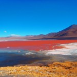 Laguna Colorada Sud Lipez Bolivie