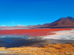 Laguna Colorada Sud Lipez Bolivie