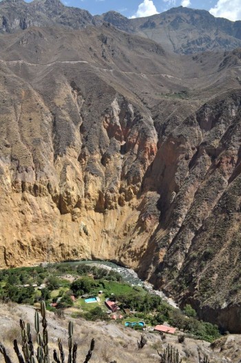 Oasis - Canyon de Colca