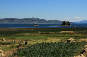 Peninsule de Socca - Lac titicaca