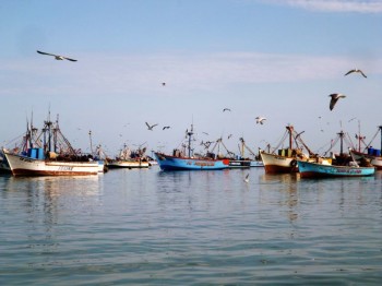 Port de Paracas - Pérou