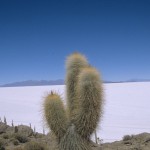 Voyage en Bolivie, Salar de Uyuni