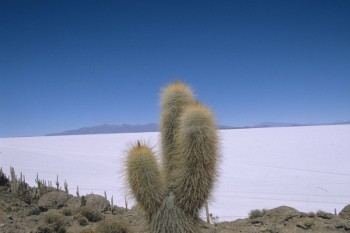 Voyage en Bolivie, Salar de Uyuni