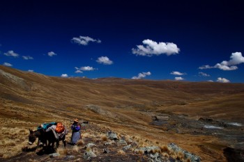 Altiplano bolivien, voyage en Bolivie