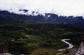 Cultures en terrasse, Vallée du Colca