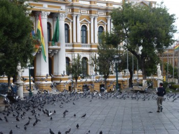 Place Murillo, Tour Bolivie