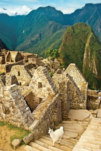 Le site archéologique du Machu Picchu