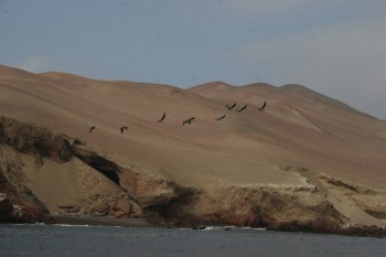Paysage de Paracas, Pérou
