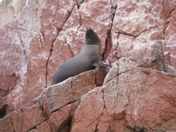 Iles Ballestas