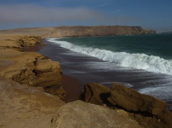 Réserve de Paracas