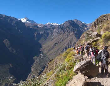 Trek Pérou - Canyon de Colca