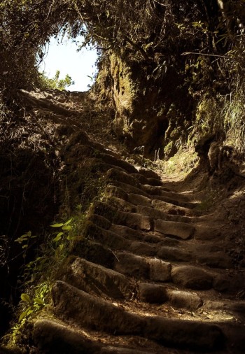 trek de l´inca - Machu Picchu