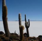 Paprika Tours témoignages, agence de voyage perou bolivie