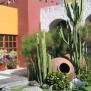Jardin - Sol De Mayo - Arequipa