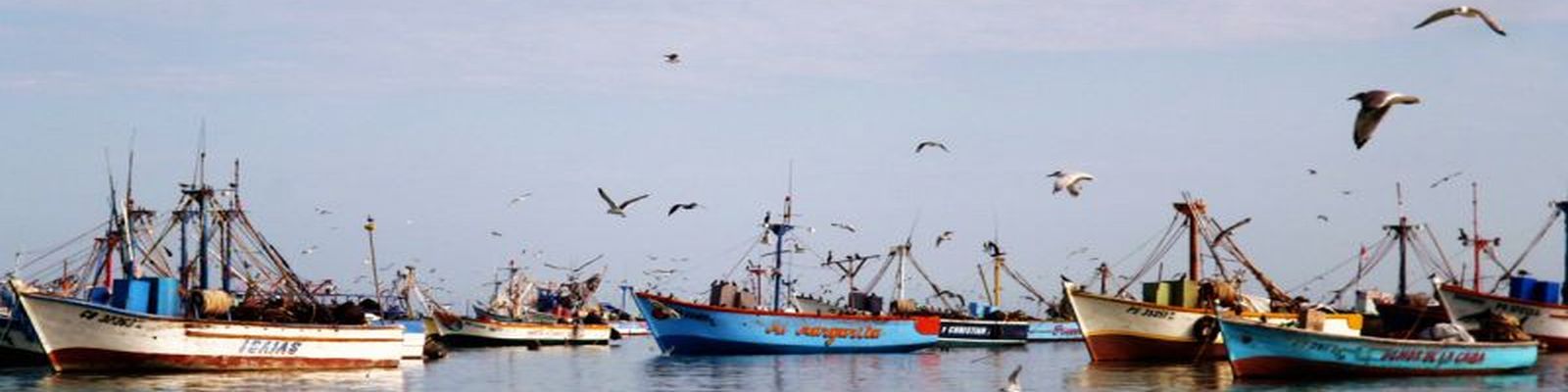 voyage pérou - Port de Paracas