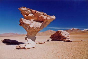 Arbre de Pierre Sud Lipez, Bolivie