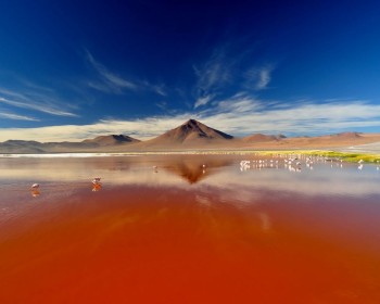 Laguna Colorada - Sud Lipez Bolivie