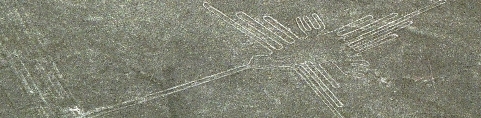 agence de voyage pérou - lignes de nazca colibri