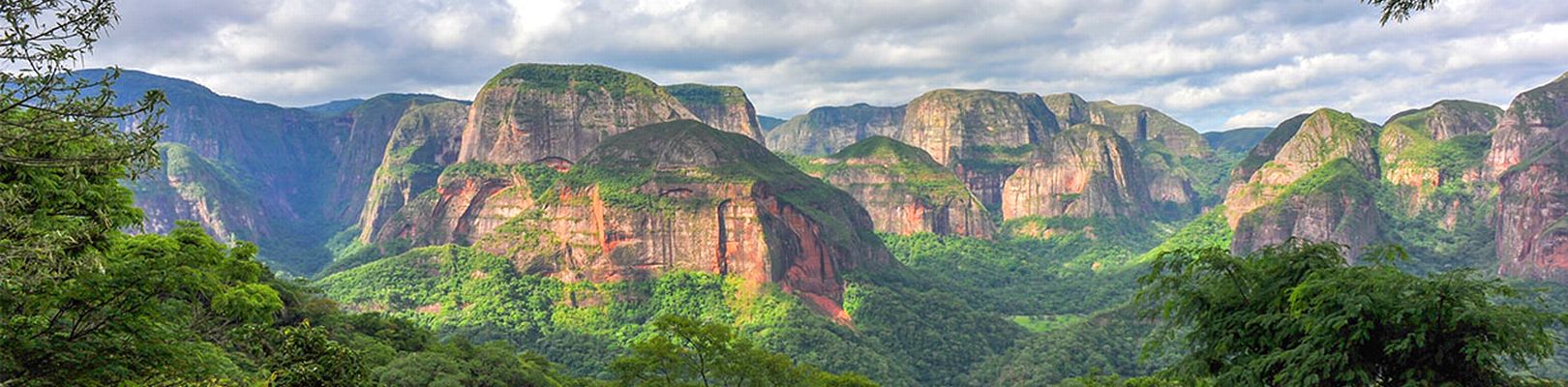 PARC-AMBORO-BOLIVIE