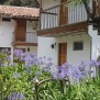 El Patio de Monterrey - Hôtel Huaraz - vue jardin