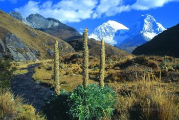 Nevado Huascaran