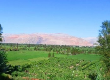 Vallée de Majes - région d´Arequipa